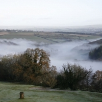 Morning mist over the estate