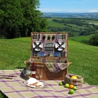 Picnic