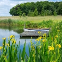 Lake with boat