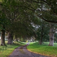 The sweeping driveway