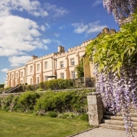 Wisteria and Garden Terrace