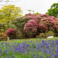 Historic American gardens