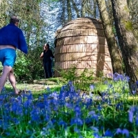 Approaching the woodland sauna