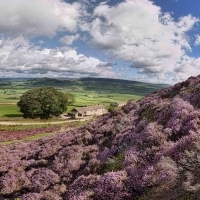 Beautiful Yorkshire