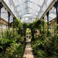 The beautiful conservatory